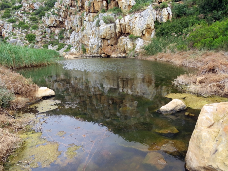 Commercial Property for Sale in Swellendam Rural Western Cape